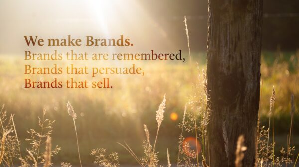 Branding, Websites, & Marketing in NJ